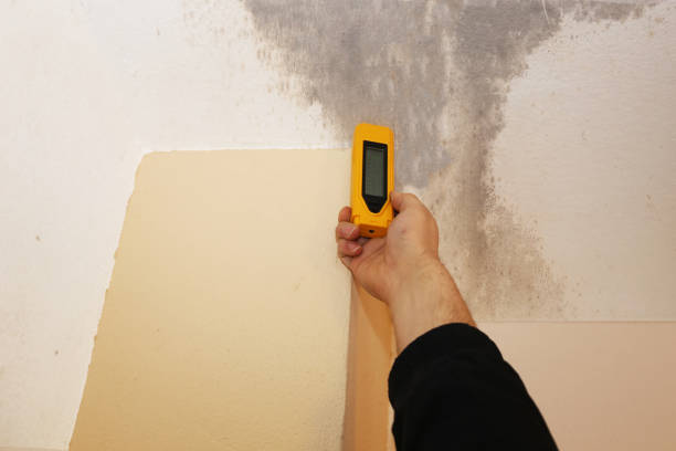 Best Indoor Air Quality Assessment  in Hillsboro Beach, FL