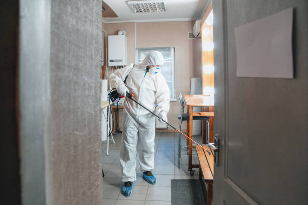 Dehumidification Services in Hillsboro Beach, FL