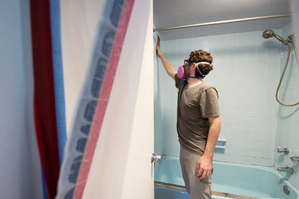 Best Mold Prevention Services  in Hillsboro Beach, FL