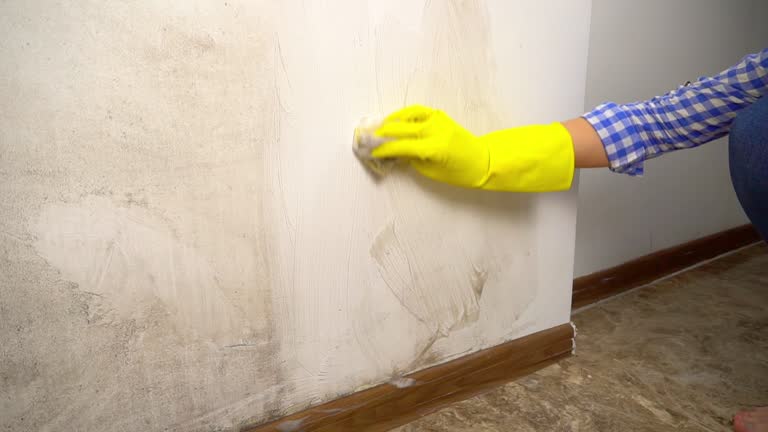 Best HVAC Mold Inspection and Cleaning  in Hillsboro Beach, FL