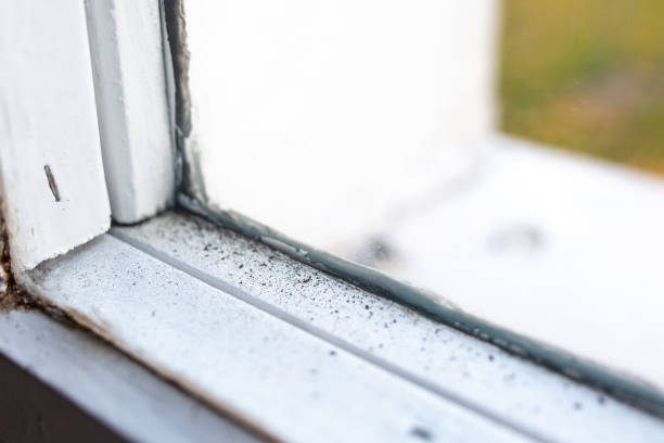 Best Indoor Air Quality Assessment  in Hillsboro Beach, FL