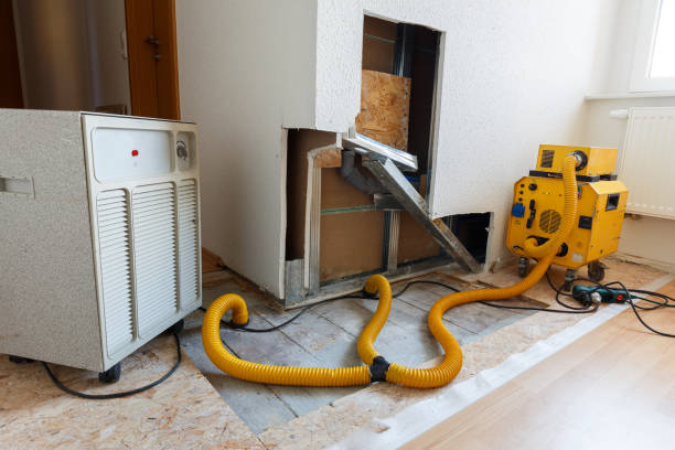 Best Asbestos and Lead Testing During Mold Inspection  in Hillsboro Beach, FL